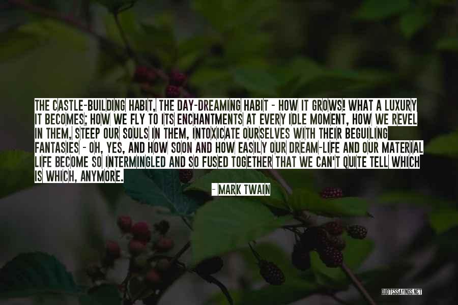 Dream To Fly Quotes By Mark Twain Dream To Fly Quotes By Mark Twain