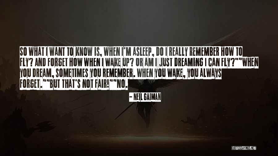 Dream To Fly Quotes By Neil Gaiman Dream To Fly Quotes By Neil Gaiman