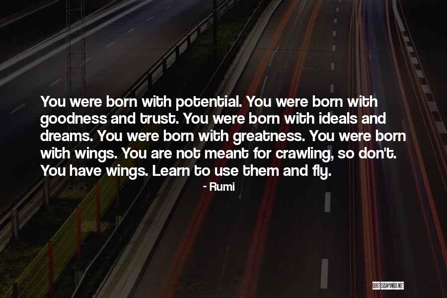 Dream To Fly Quotes By Rumi Dream To Fly Quotes By Rumi