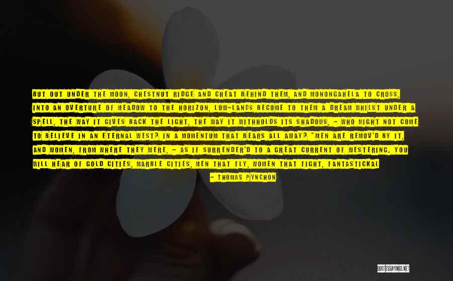 Dream To Fly Quotes By Thomas Pynchon Dream To Fly Quotes By Thomas Pynchon