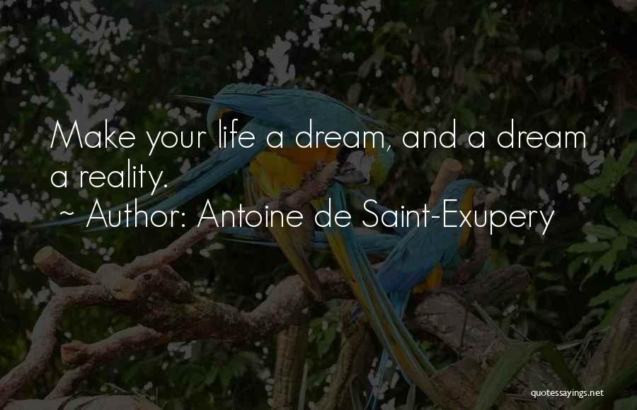 Dream Vs Reality Quotes By Antoine De Saint-Exupery