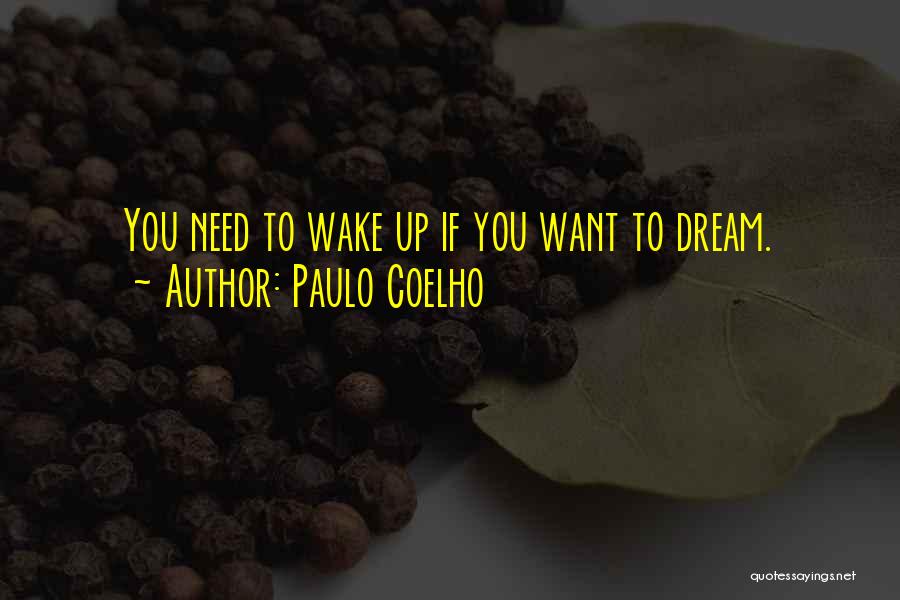 Dream Wake Up Quotes By Paulo Coelho