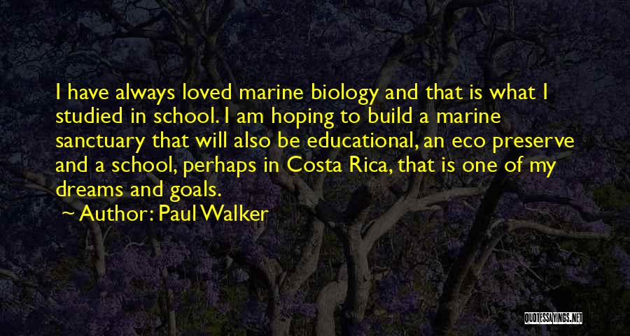 Dream Walker Quotes By Paul Walker