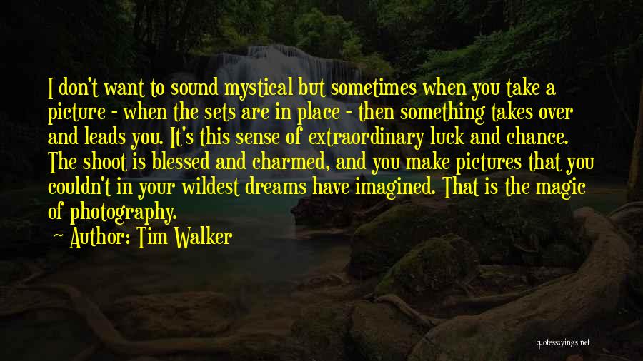 Dream Walker Quotes By Tim Walker