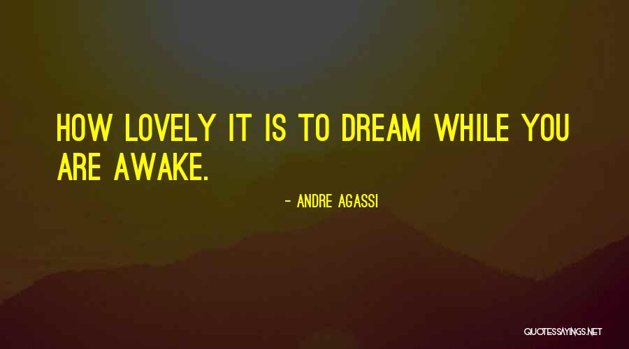 Dream When You Are Awake Quotes By Andre Agassi