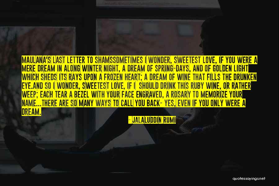 Dream With You Quotes By Jalaluddin Rumi Dream With You Quotes By Jalaluddin Rumi