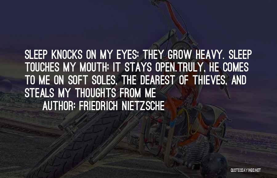 Dream With Your Eyes Open Quotes By Friedrich Nietzsche