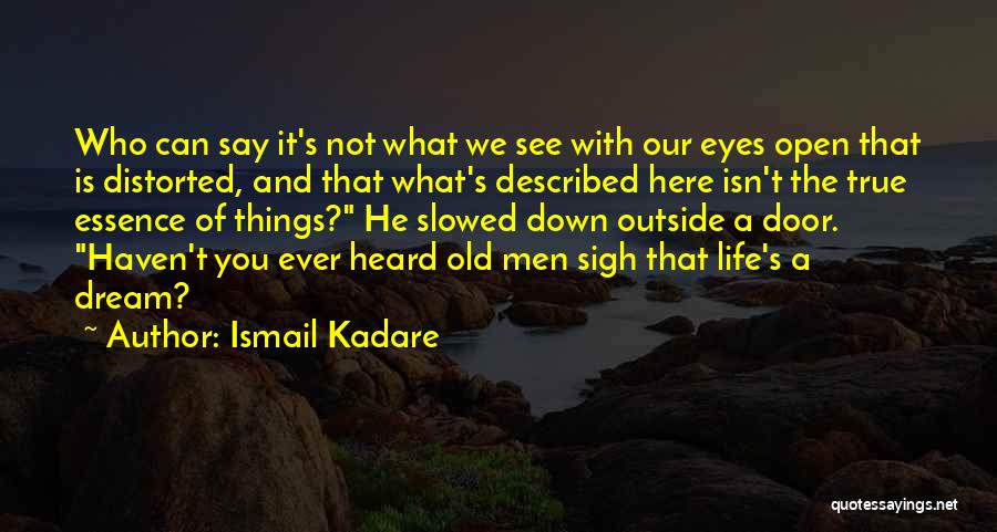 Dream With Your Eyes Open Quotes By Ismail Kadare