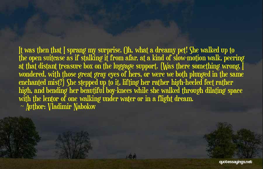 Dream With Your Eyes Open Quotes By Vladimir Nabokov