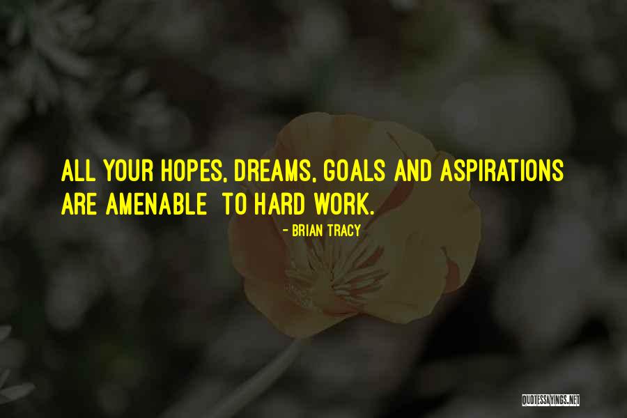 Dream Work Hard Quotes By Brian Tracy