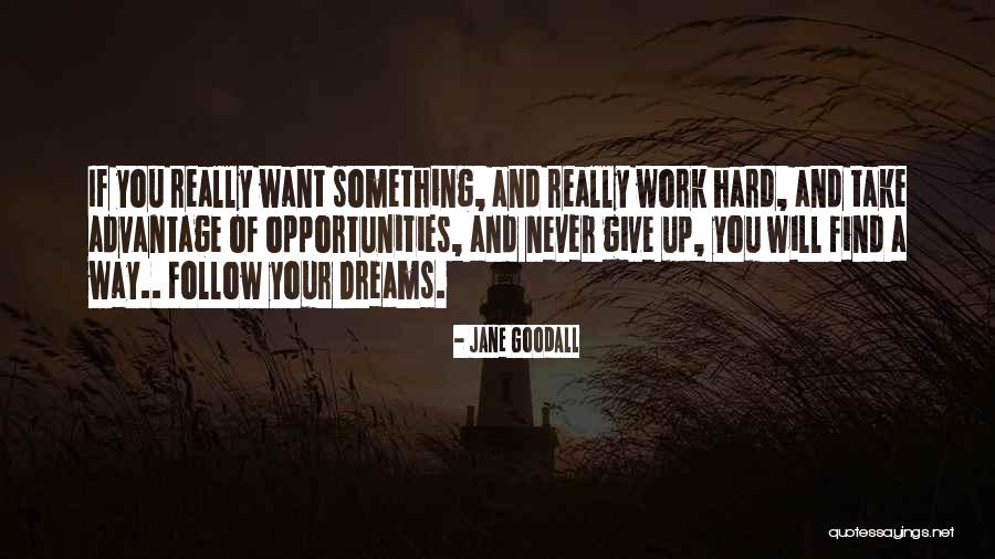 Dream Work Hard Quotes By Jane Goodall