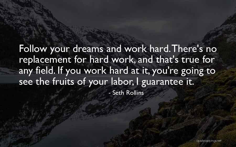 Dream Work Hard Quotes By Seth Rollins Dream Work Hard Quotes By Seth Rollins