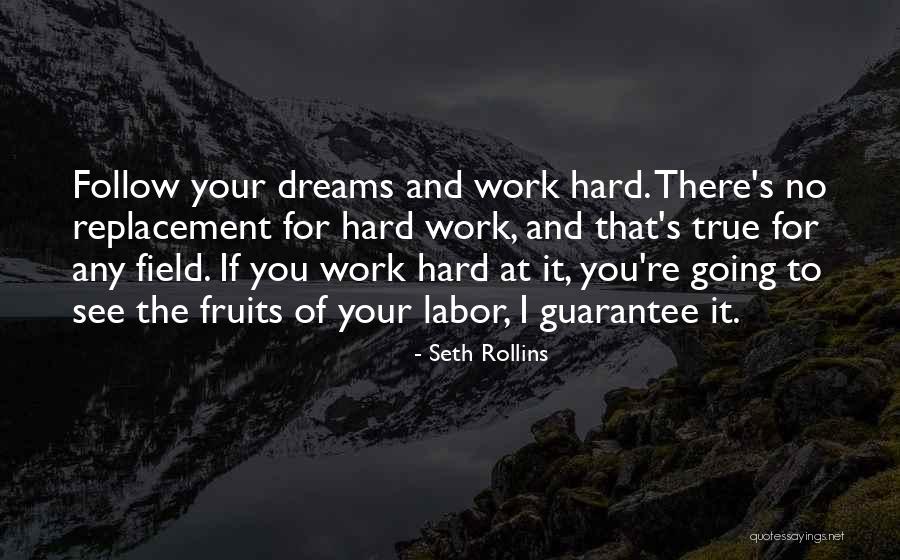 Dream Work Hard Quotes By Seth Rollins