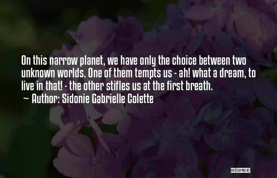 Dream Worlds Quotes By Sidonie Gabrielle Colette