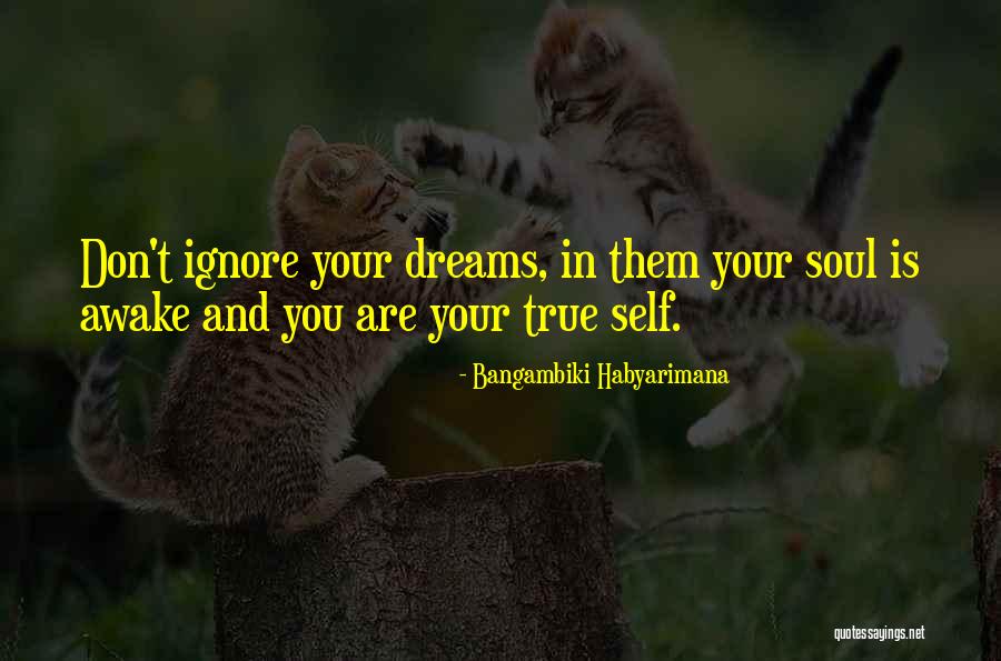 Dreamer Quotes Quotes By Bangambiki Habyarimana Dreamer Quotes Quotes By Bangambiki Habyarimana