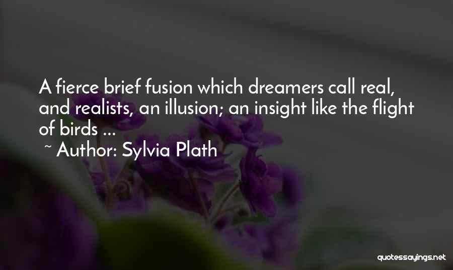 Dreamers And Realists Quotes By Sylvia Plath