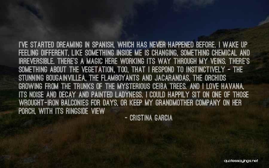 Dreaming Again Quotes By Cristina Garcia