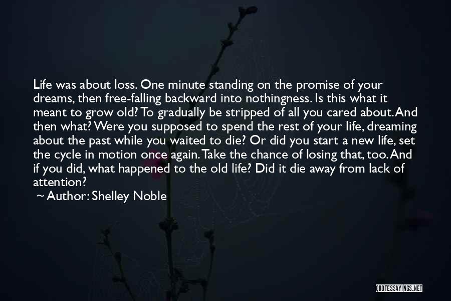 Dreaming Again Quotes By Shelley Noble