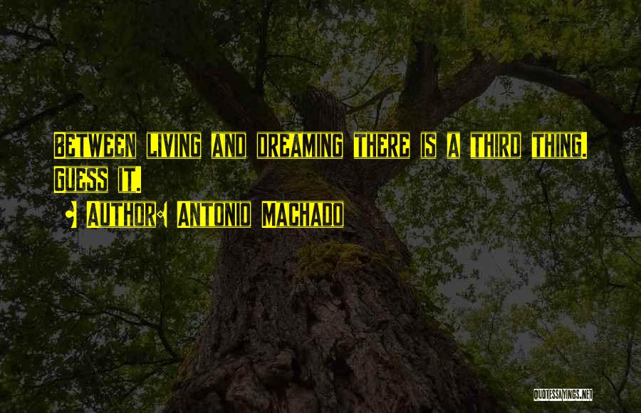 Dreaming And Living Quotes By Antonio Machado