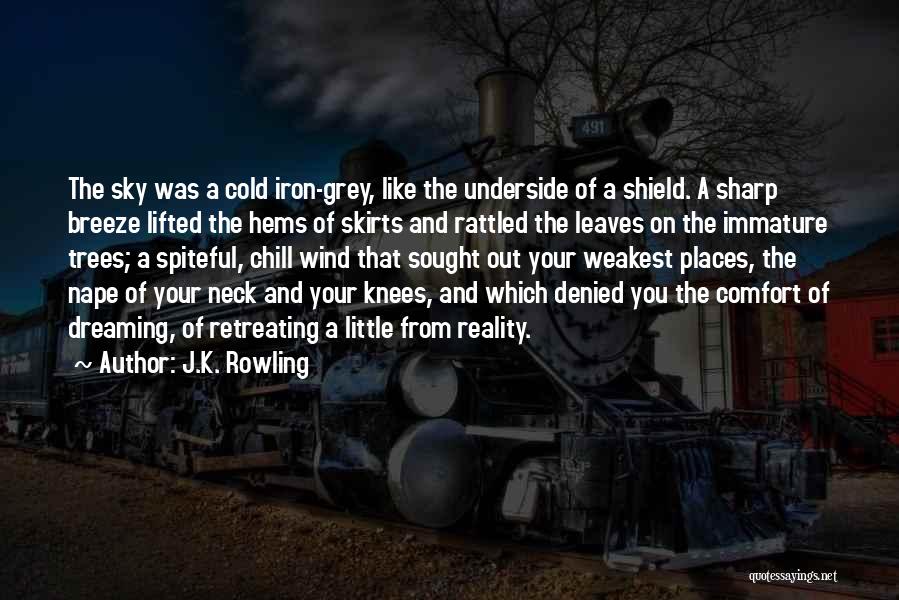 Dreaming And Reality Quotes By J.K. Rowling