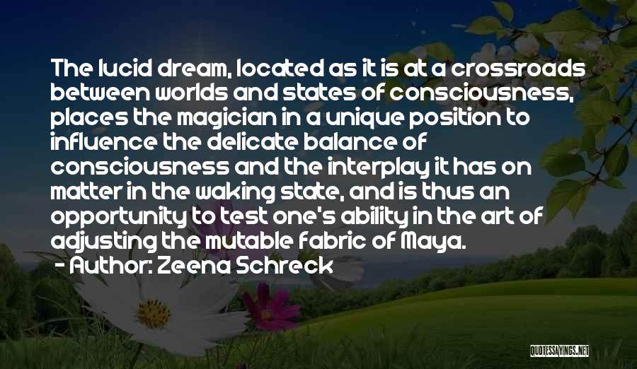 Dreaming And Reality Quotes By Zeena Schreck
