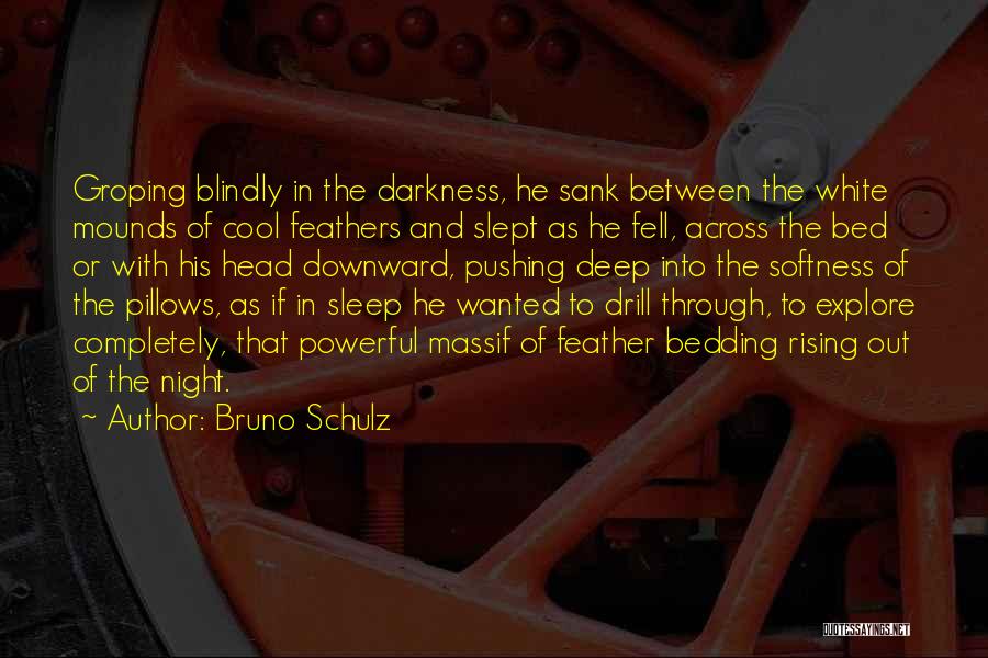 Dreaming And Sleeping Quotes By Bruno Schulz