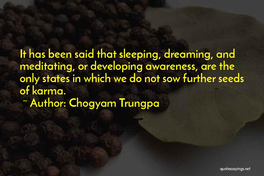 Dreaming And Sleeping Quotes By Chogyam Trungpa