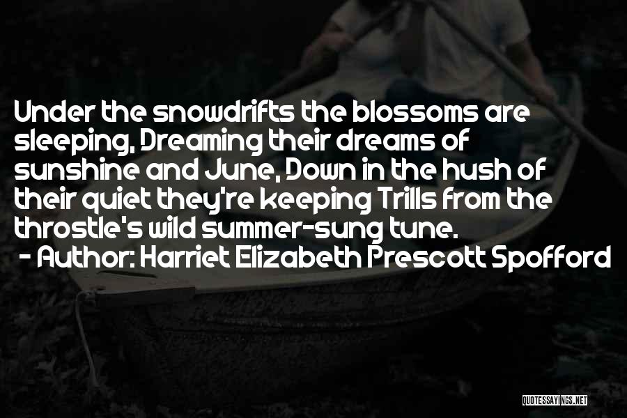 Dreaming And Sleeping Quotes By Harriet Elizabeth Prescott Spofford