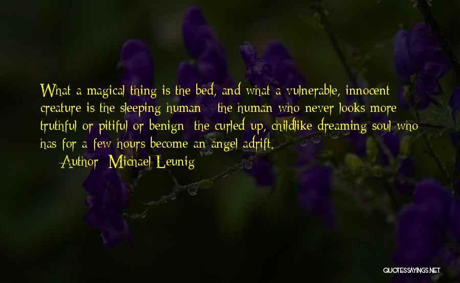 Dreaming And Sleeping Quotes By Michael Leunig