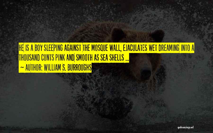 Dreaming And Sleeping Quotes By William S. Burroughs