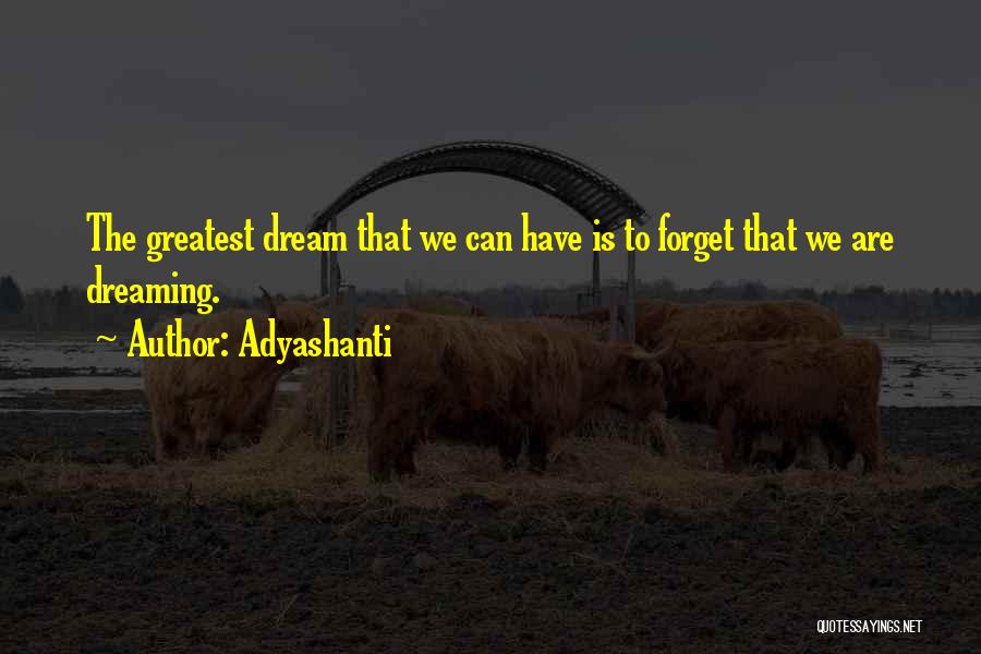 Dreaming And Waking Up Quotes By Adyashanti