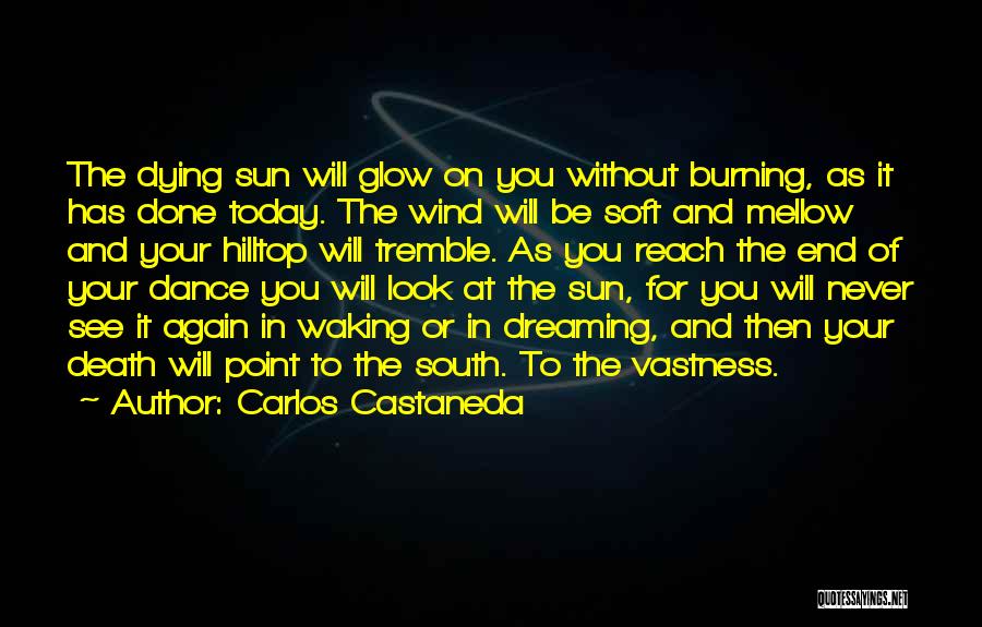 Dreaming And Waking Up Quotes By Carlos Castaneda