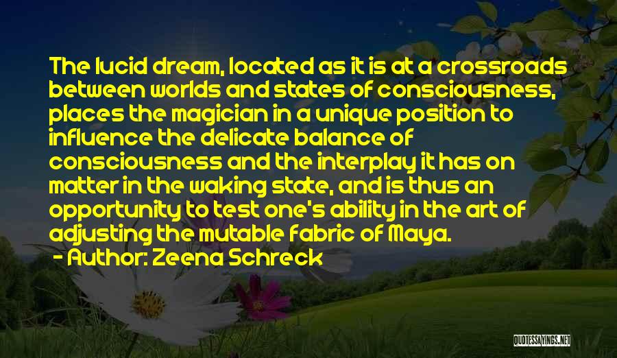 Dreaming And Waking Up Quotes By Zeena Schreck