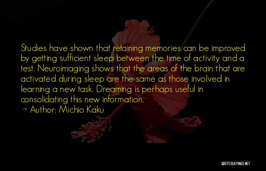 Dreaming During Sleep Quotes By Michio Kaku