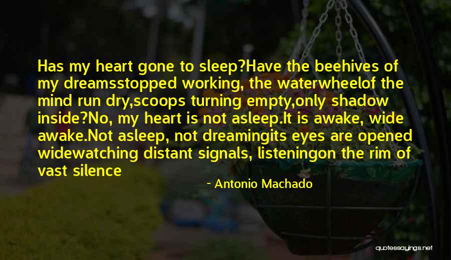 Dreaming In Your Sleep Quotes By Antonio Machado