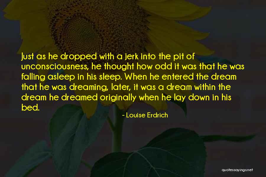 Dreaming In Your Sleep Quotes By Louise Erdrich