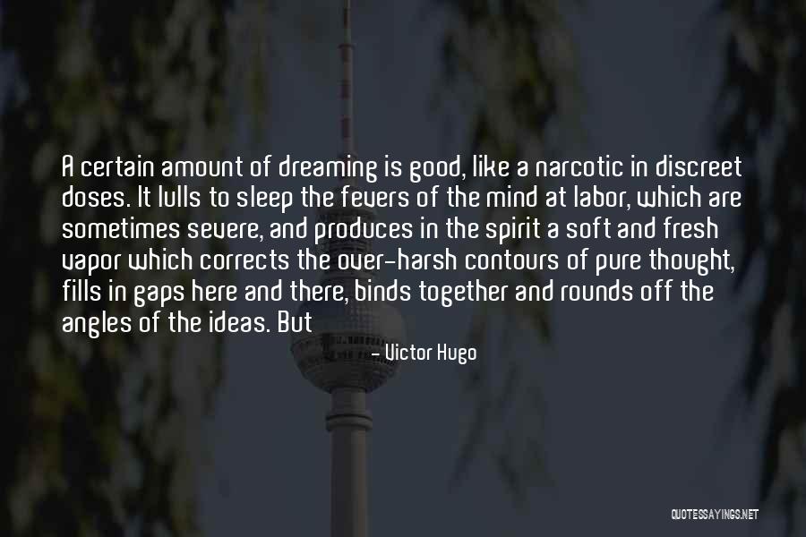 Dreaming In Your Sleep Quotes By Victor Hugo