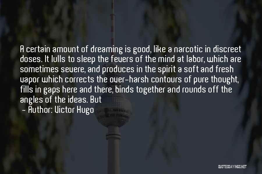 Dreaming Of Someone You Like Quotes By Victor Hugo