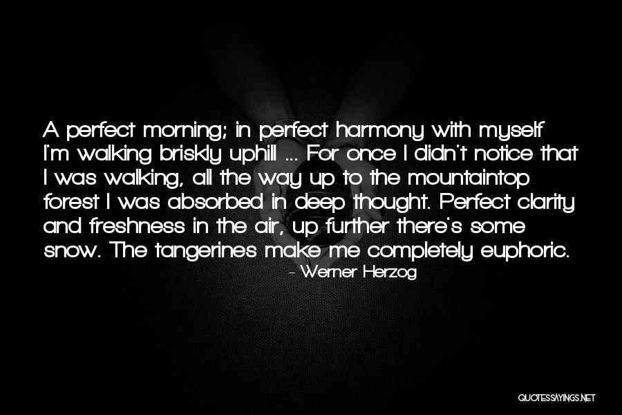 Dreaming Quotes By Werner Herzog Dreaming Quotes By Werner Herzog