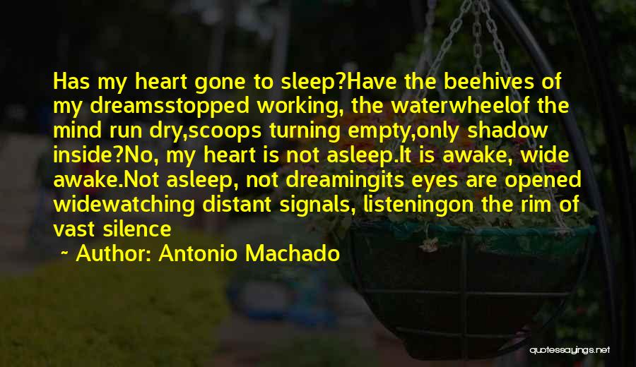 Dreaming Sleep Quotes By Antonio Machado