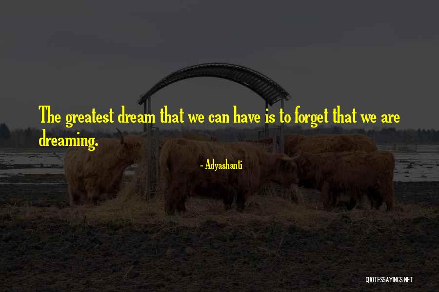 Dreaming Vs Reality Quotes By Adyashanti