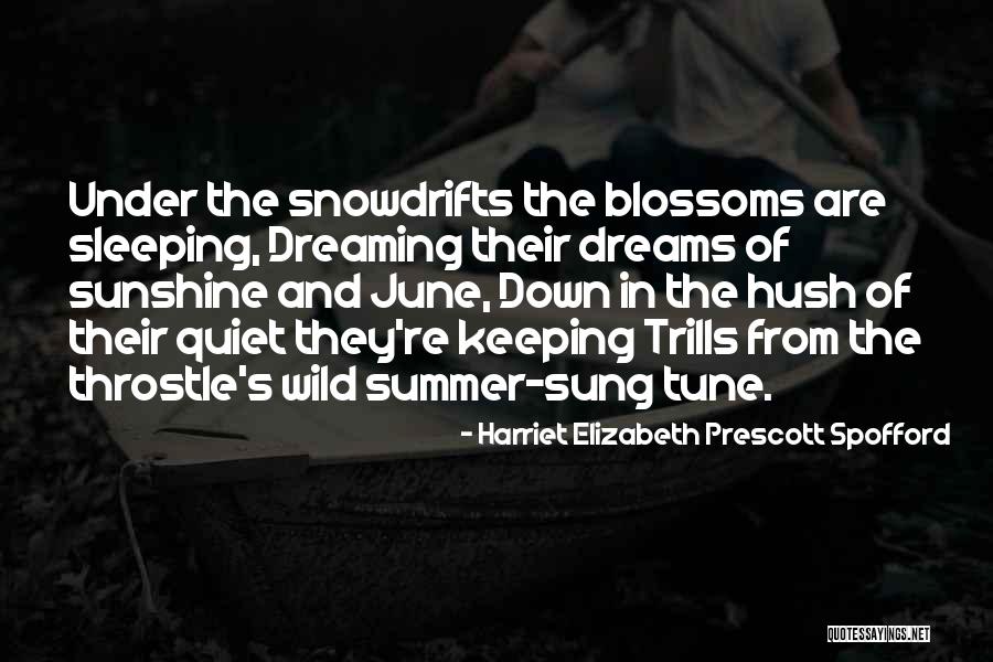 Dreaming While Sleep Quotes By Harriet Elizabeth Prescott Spofford Dreaming While Sleep Quotes By Harriet Elizabeth Prescott Spofford