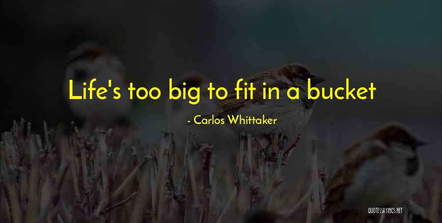 Dreamit Ventures Quotes By Carlos Whittaker Dreamit Ventures Quotes By Carlos Whittaker