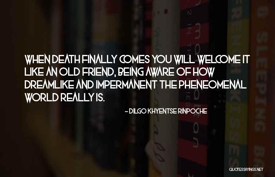 Dreamlike Quotes By Dilgo Khyentse Rinpoche Dreamlike Quotes By Dilgo Khyentse Rinpoche