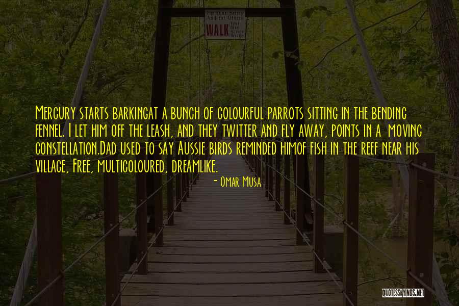 Dreamlike Quotes By Omar Musa Dreamlike Quotes By Omar Musa
