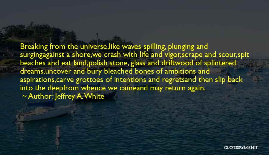 Dreams And Aspirations Quotes By Jeffrey A. White