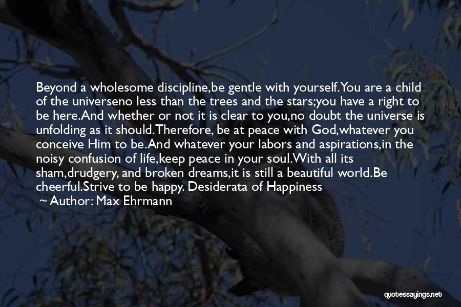 Dreams And Aspirations Quotes By Max Ehrmann