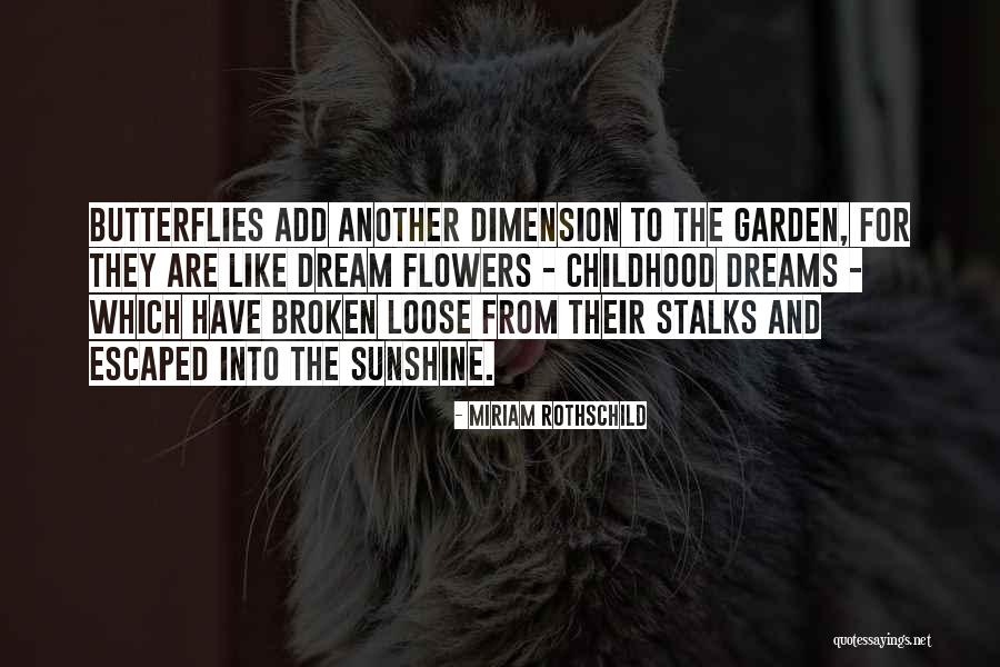 Dreams And Childhood Quotes By Miriam Rothschild Dreams And Childhood Quotes By Miriam Rothschild