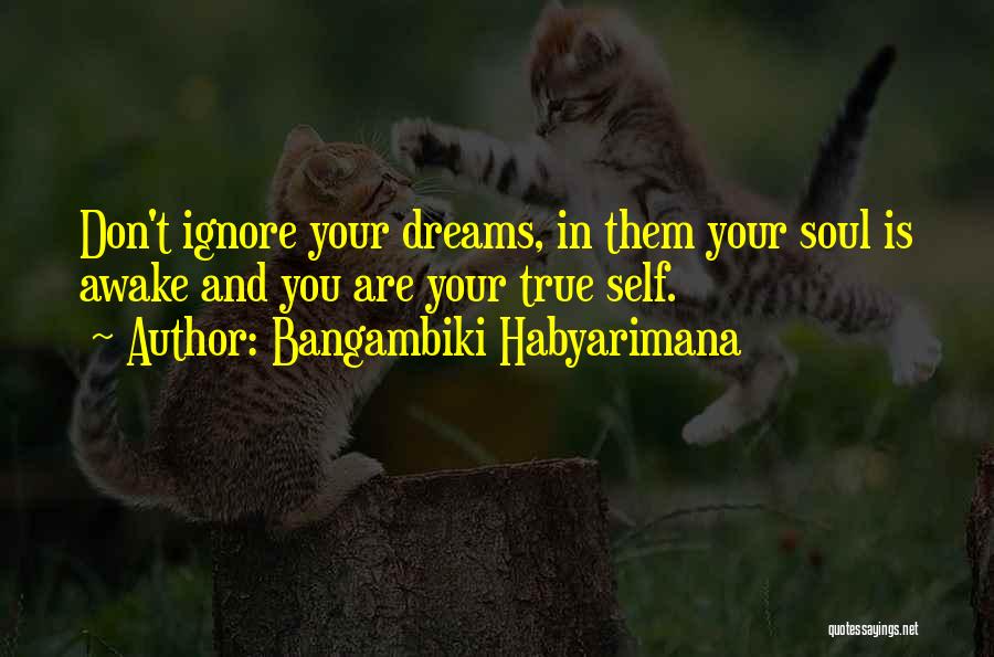 Dreams And Dreamers Quotes By Bangambiki Habyarimana