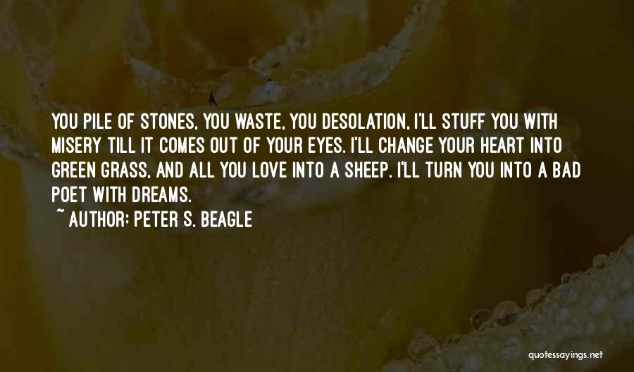 Dreams And Eyes Quotes By Peter S. Beagle